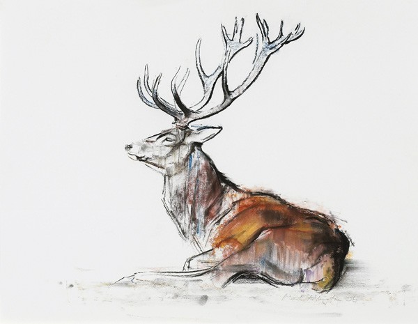Sitzender Hirsch