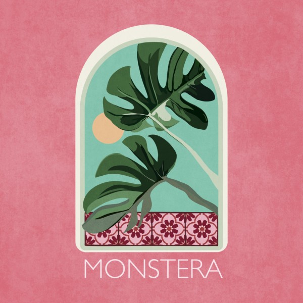 Grüne Sets Monstera