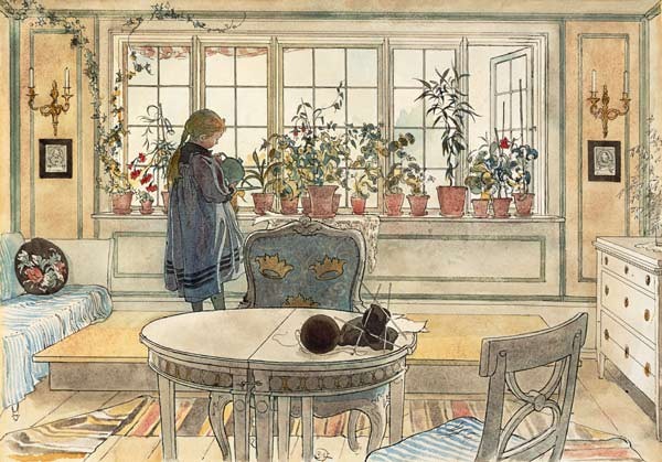Blumen auf der Fensterbank, aus der Serie 'Ein Zuhause'