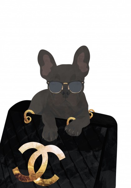 Frenchie in der Tasche