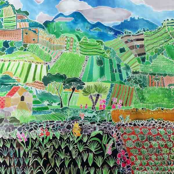 Kohl und Lilien, Region Sololá, Guatemala, 1993 (farbige Tinten auf Seide)