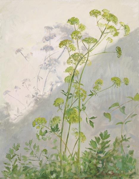 Liebstöckel gegen diagonale Schatten, 1999 (Öl auf Leinwand)