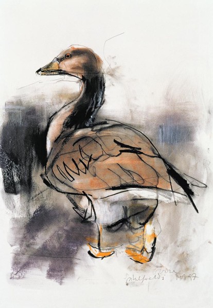 Spitalfields Gans
