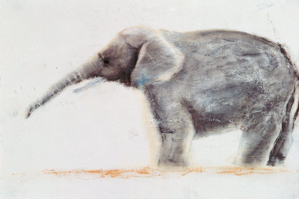 Elefant (Pastell auf Papier)