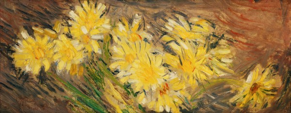 Gelbe Margeriten