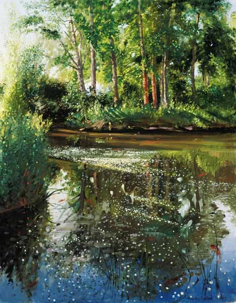 Wasserblumen bei Sonnenaufgang