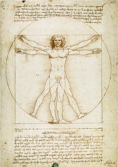 Vitruvmann (Proportionszeichnung)