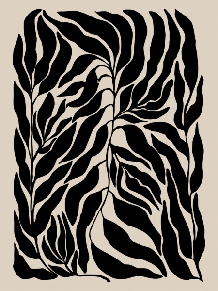 3x4 Aspektverhältnisbotanisch105