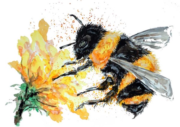 Bumble Bee Collecting Pollen