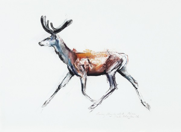 Laufender Hirsch im Bast, Polsen