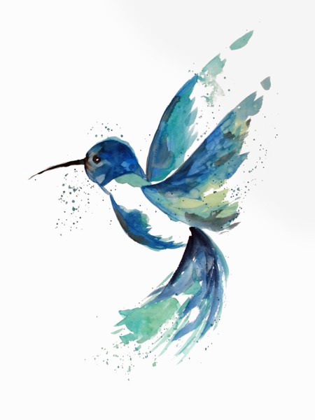Blue Hummingbird