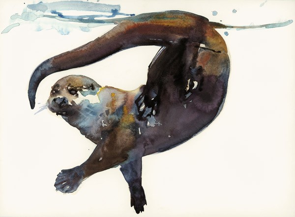 Otterstudie II - Talisker