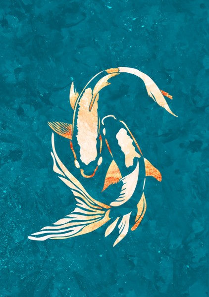 Goldblauer Koi-Fisch