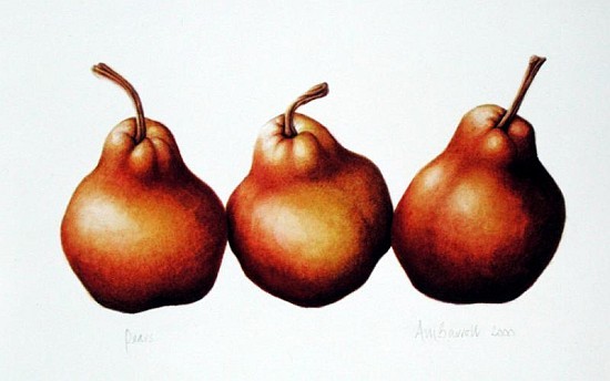 Birnen, 2000 (Aquarell auf Papier)