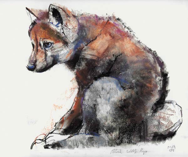 Polnischer Wolfswelpe