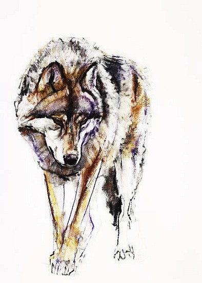 Europäischer Wolf