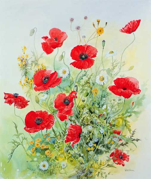 Mohnblumen und Hundskamille