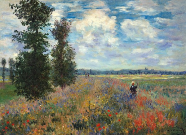 Das Mohnfeld