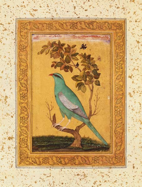 Grüner Vogel, Mogul