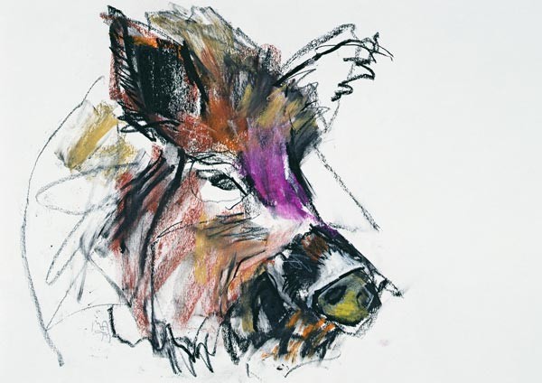 Wildschwein