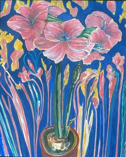 Amaryllis